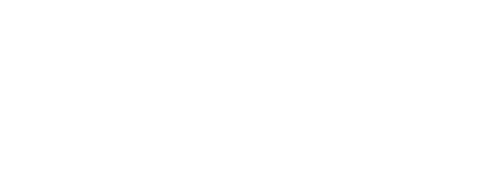 Site Footer Logo